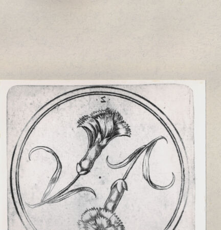 Rückseite von  [http://creativecommons.org/publicdomain/mark/1.0/] ... - , bh263935. Foto.