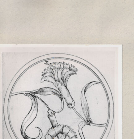 Rückseite von  [http://creativecommons.org/publicdomain/mark/1.0/] ... - , bh263936. Foto.