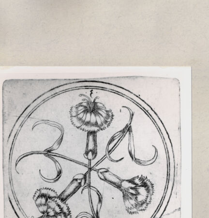 Rückseite von  [http://creativecommons.org/publicdomain/mark/1.0/] ... - , bh263937. Foto.