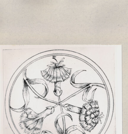 Rückseite von  [http://creativecommons.org/publicdomain/mark/1.0/] ... - , bh263938. Foto.