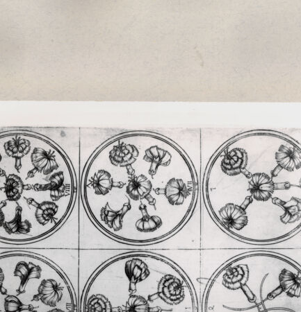 Rückseite von  [http://creativecommons.org/publicdomain/mark/1.0/] ... - , bh263940. Foto.