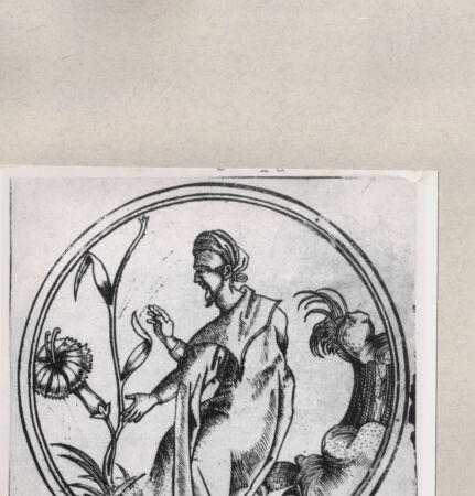 Rückseite von  [http://creativecommons.org/publicdomain/mark/1.0/] ... - , bh263942. Foto.