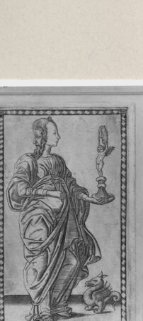 Rückseite von  [http://creativecommons.org/publicdomain/mark/1.0/] ... - , bh264302. Foto.