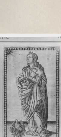 Rückseite von  [http://creativecommons.org/publicdomain/mark/1.0/] ... - , bh264343. Foto.