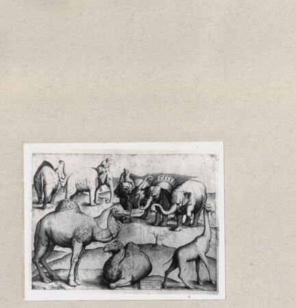 Rückseite von  [http://creativecommons.org/publicdomain/mark/1.0/] ... - , bh264403. Foto.