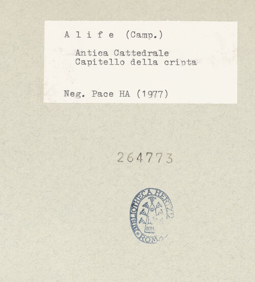 Rückseite von Pace, Valentino [https://www.deutsche-digitale-bibliothek.de/content/lizenzen/rv-ez/] Seitenansicht, bh264773_recto. Foto: Pace, Valentino.