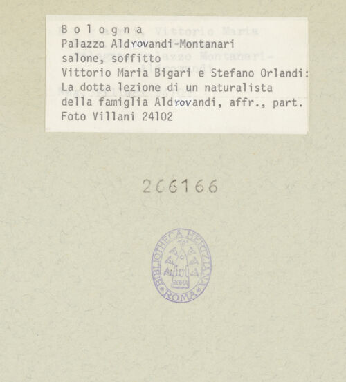 Rückseite von bh266166_recto