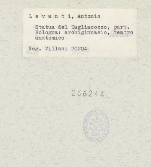 Rückseite von bh266244_recto