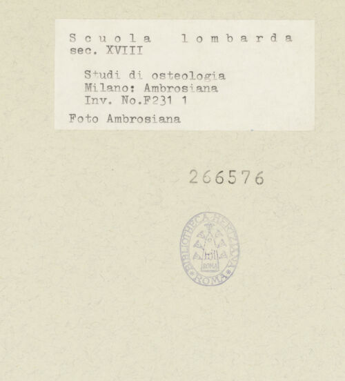 Rückseite von bh266576_recto