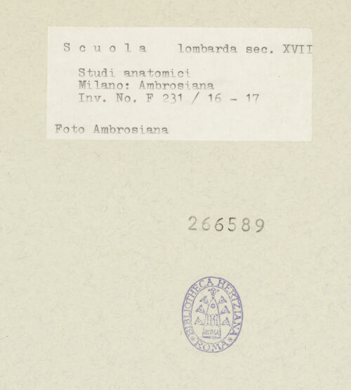 Rückseite von bh266589_recto