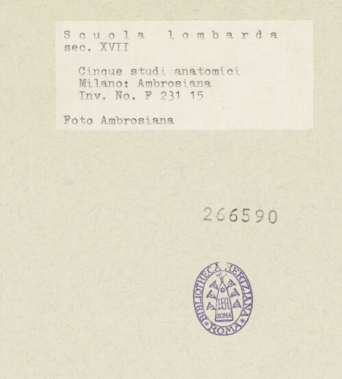 Rückseite von bh266590_recto