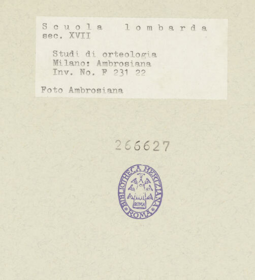 Rückseite von bh266627_recto