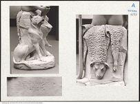 Thumbnail des 7. Ordners