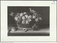 Thumbnail des 9. Ordners