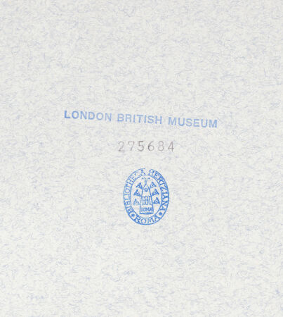 Rückseite von bh275684_recto