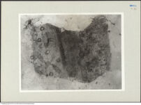 Thumbnail des zweiten Ordners