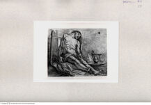 Thumbnail für YAIANI-ALESS