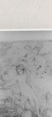 Rückseite von  [http://creativecommons.org/publicdomain/mark/1.0/] Venus - , bh279086. Foto.