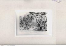 Thumbnail für RICCI-MARCO