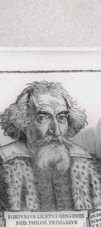 Rückseite von  [http://creativecommons.org/publicdomain/mark/1.0/] ... - , bh279193. Foto.