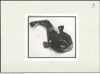 Thumbnail des 12. Ordners