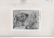 Thumbnail für 16-B-IV-p-187-188