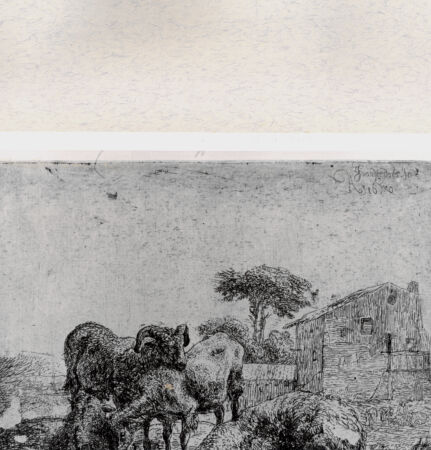 Rückseite von  [http://creativecommons.org/publicdomain/mark/1.0/] , bh282239. Foto.