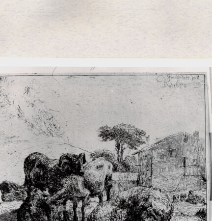 Rückseite von  [http://creativecommons.org/publicdomain/mark/1.0/] , bh282474. Foto.