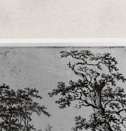 Rückseite von  [http://creativecommons.org/publicdomain/mark/1.0/] ... - , bh282670. Foto.