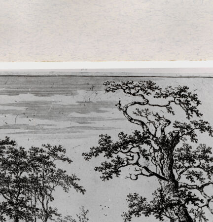 Rückseite von  [http://creativecommons.org/publicdomain/mark/1.0/] ... - , bh282677. Foto.