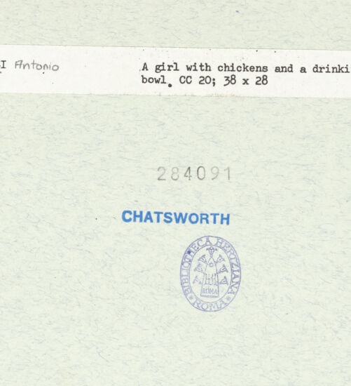 Rückseite von bh284091_recto