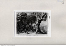 Thumbnail für 86-B-II-p-311-321