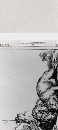 Rückseite von  [http://creativecommons.org/publicdomain/mark/1.0/] ... - , bh285044. Foto.