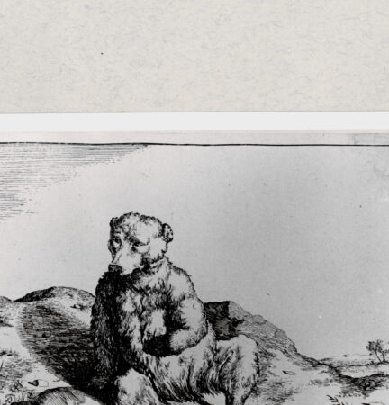 Rückseite von  [http://creativecommons.org/publicdomain/mark/1.0/] ... - , bh285045. Foto.