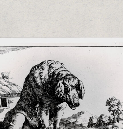 Rückseite von  [http://creativecommons.org/publicdomain/mark/1.0/] ... - , bh285046. Foto.