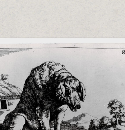 Rückseite von  [http://creativecommons.org/publicdomain/mark/1.0/] ... - , bh285047. Foto.