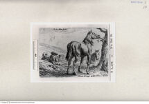 Thumbnail für AKEN-JAN-VAN