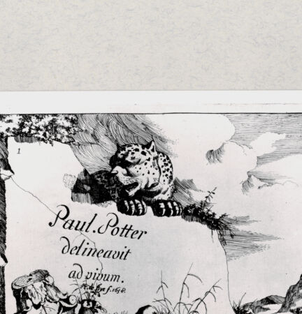 Rückseite von  [http://creativecommons.org/publicdomain/mark/1.0/] ... - , bh285049. Foto.