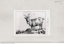 Thumbnail für 14-B-I-p-74-78