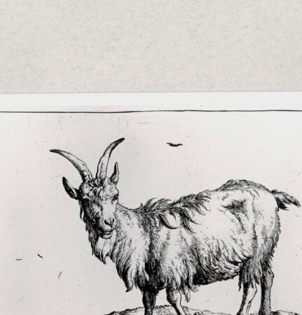 Rückseite von  [http://creativecommons.org/publicdomain/mark/1.0/] ... - , bh285060. Foto.