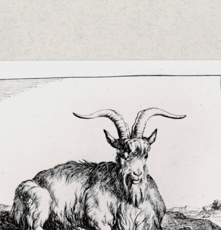 Rückseite von  [http://creativecommons.org/publicdomain/mark/1.0/] ... - , bh285061. Foto.