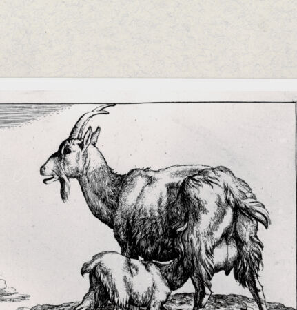 Rückseite von  [http://creativecommons.org/publicdomain/mark/1.0/] ... - , bh285062. Foto.