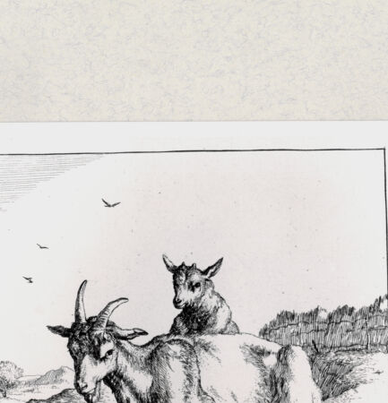 Rückseite von  [http://creativecommons.org/publicdomain/mark/1.0/] ... - , bh285063. Foto.