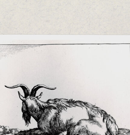 Rückseite von  [http://creativecommons.org/publicdomain/mark/1.0/] ... - , bh285065. Foto.