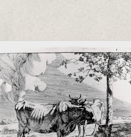 Rückseite von  [http://creativecommons.org/publicdomain/mark/1.0/] ... - , bh285068. Foto.