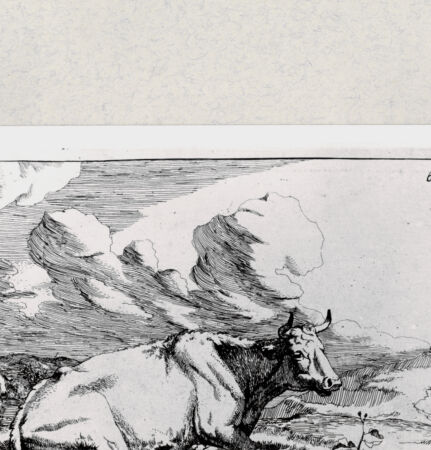 Rückseite von  [http://creativecommons.org/publicdomain/mark/1.0/] ... - , bh285070. Foto.