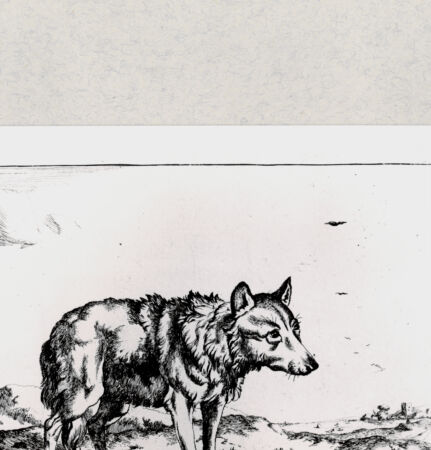 Rückseite von  [http://creativecommons.org/publicdomain/mark/1.0/] ... - , bh285104. Foto.