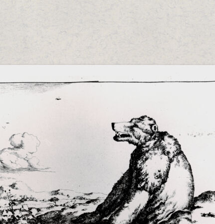 Rückseite von  [http://creativecommons.org/publicdomain/mark/1.0/] ... - , bh285106. Foto.