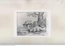 Thumbnail für 36-B-I-p-172-183