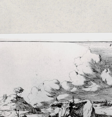 Rückseite von  [http://creativecommons.org/publicdomain/mark/1.0/] ... - , bh285262. Foto.